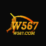 W567 Game