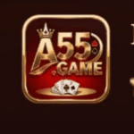 A55 Game