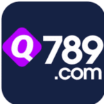 q789 game